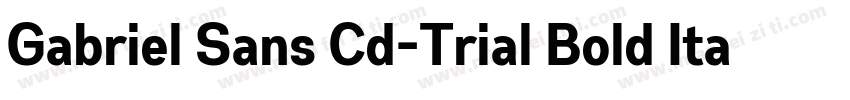 Gabriel Sans Cd-Trial Bold Italic字体转换